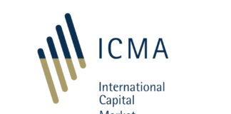 The Book: ICMA releases DLT bond guidance
